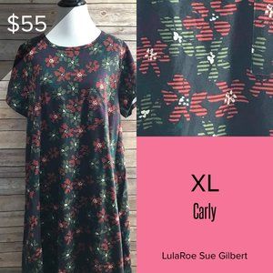 COPY - NWT! LuLaRoe Carly